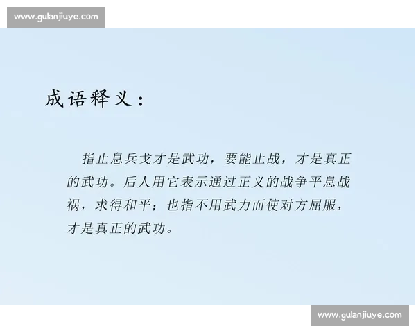 以止戈对阵流派之争从武学理念到时代选择的深度解析全面观察与未来走向